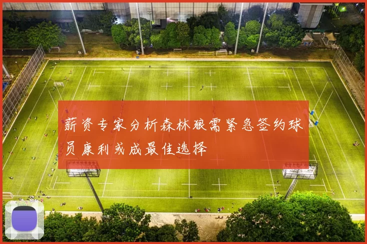 薪资专家分析森林狼需紧急签约球员康利或成最佳选择